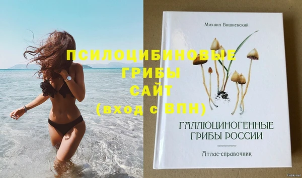 мдпв Козловка