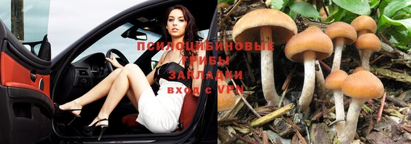 мдма Козельск