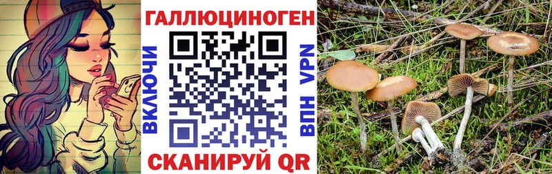 где можно купить   ссылка на мегу ссылки  Псилоцибиновые грибы Psilocybine cubensis  Красавино 